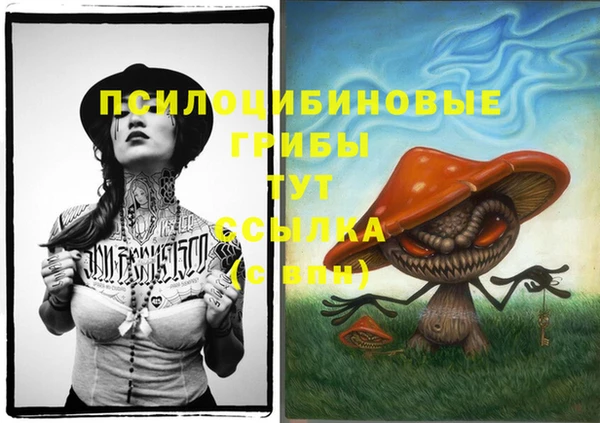 гашик Белокуриха