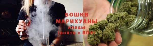 гашик Белокуриха