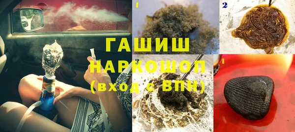 гашик Белокуриха