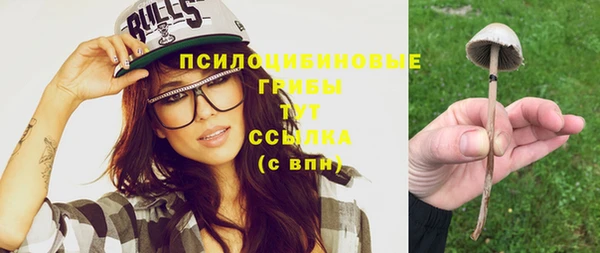 сатива Белоозёрский